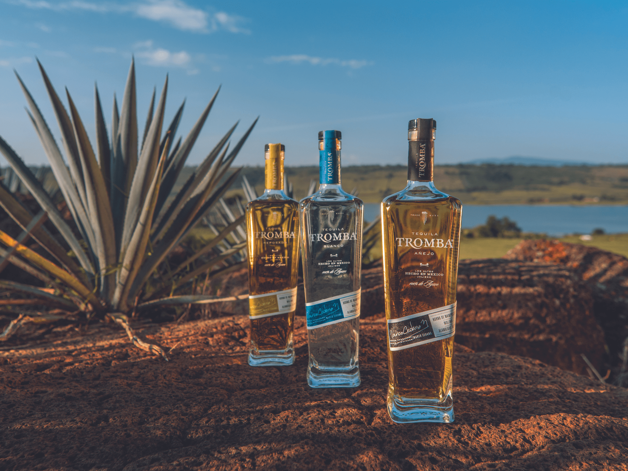 tequila-tromba