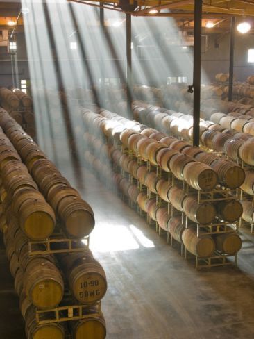 Tequila Cask Investment: A Smart Move Amid Economic Uncertainty and Rising Inflation in 2025