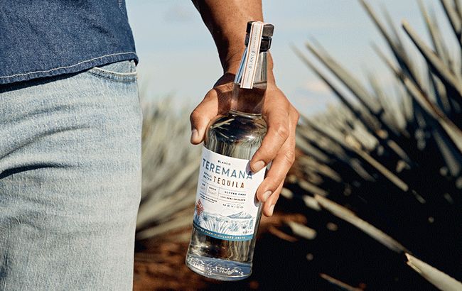 tequila-investment-vs-crypto