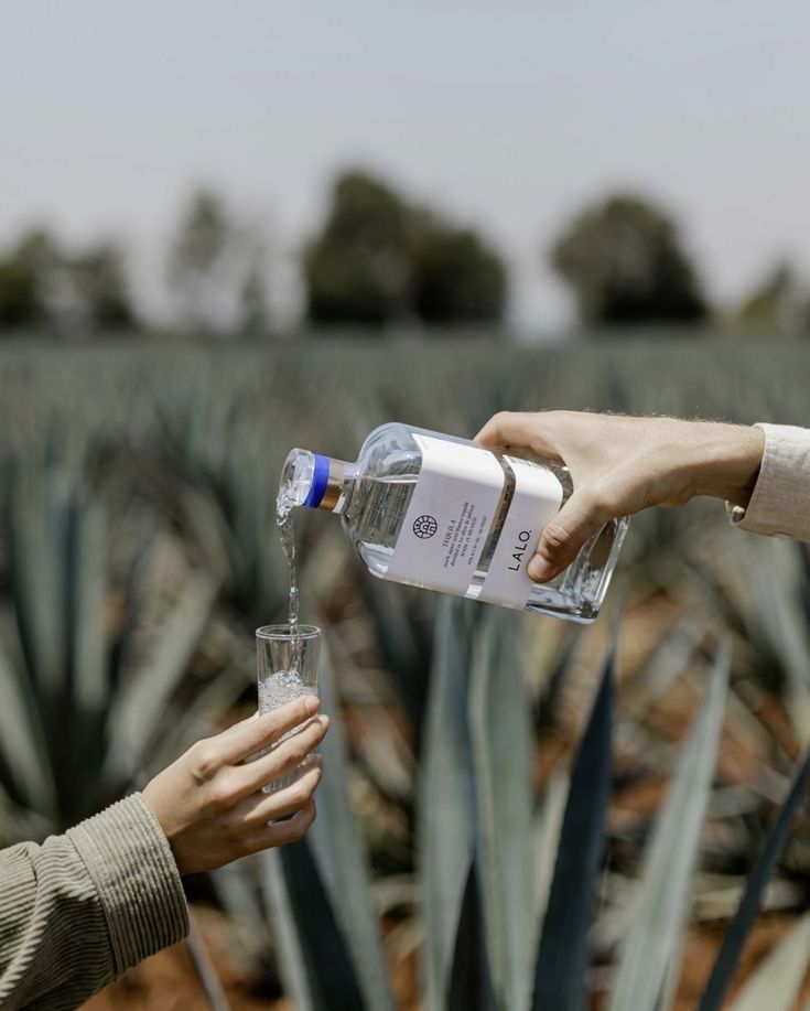 Tequila Cask Investment vs. Crypto: Which is the Better Choice?