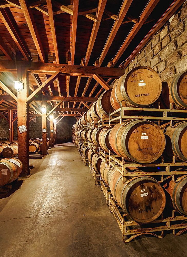 Watch Investment vs. Tequila Cask Investment: A Smart Comparison