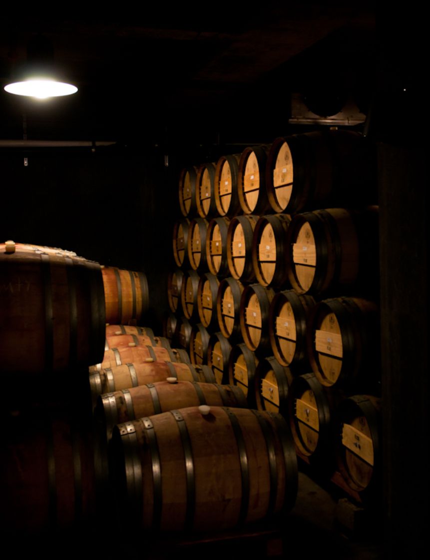Whisky, Wine, Rum, and Tequila Cask Investments: A Quick Comparison