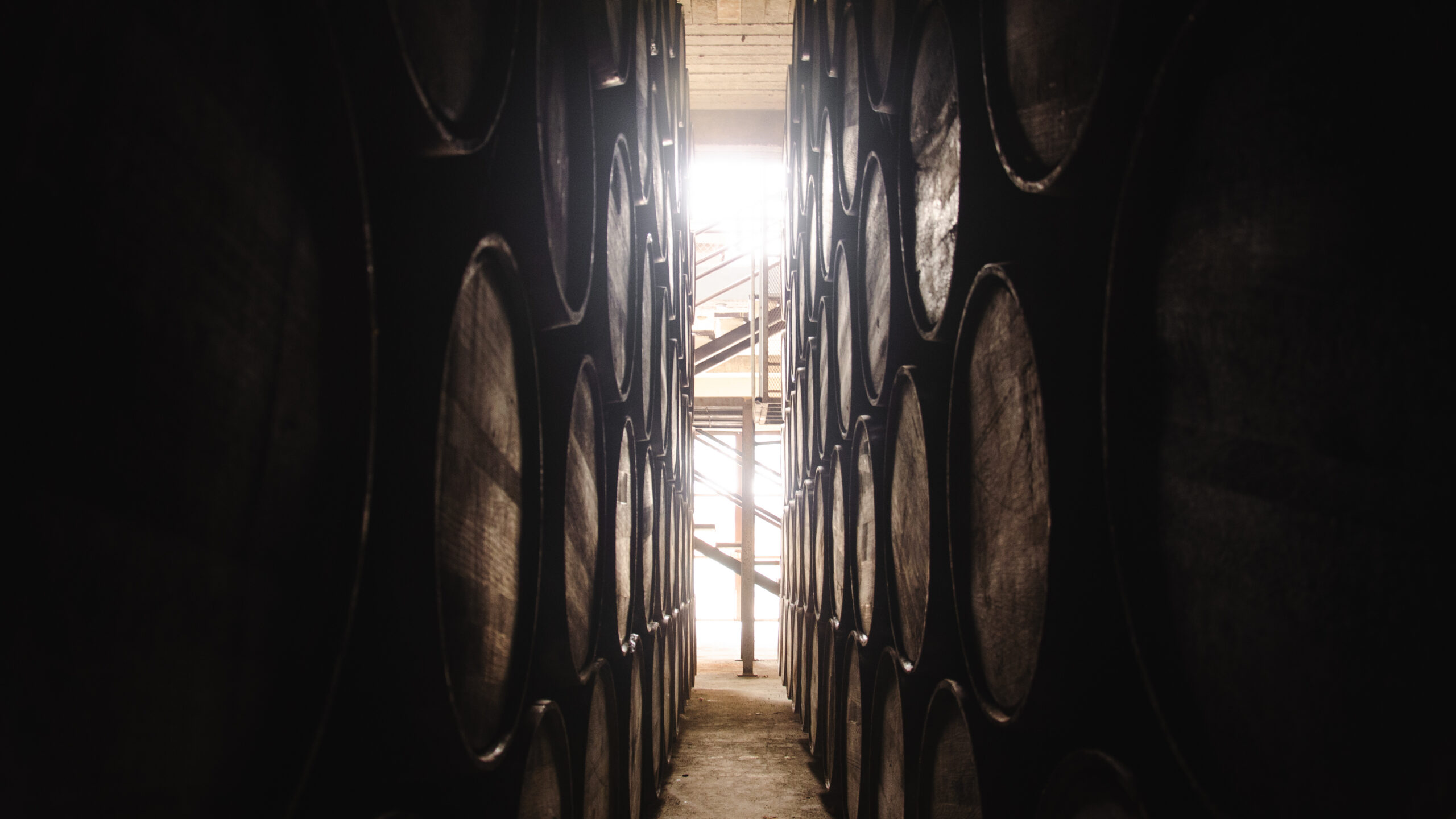 Rows of large wooden barrels line a narrow aisle inside a tequila distillery, with natural light streaming in from the far end of the tequila barrel warehouse.