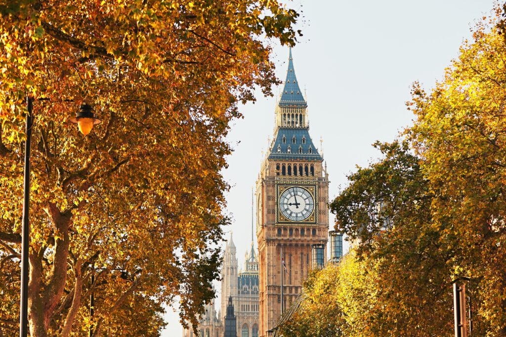 Big Ben's clock tower framed by autumn trees, with the Houses of Parliament visible behind.