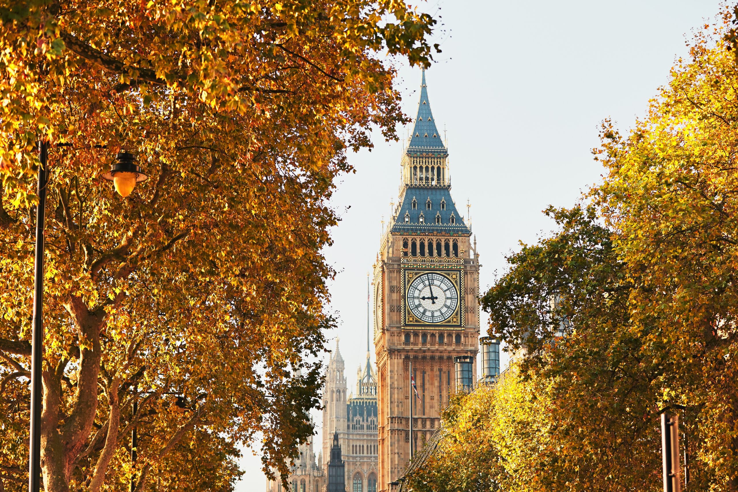 Big Ben's clock tower framed by autumn trees, with the Houses of Parliament visible behind.